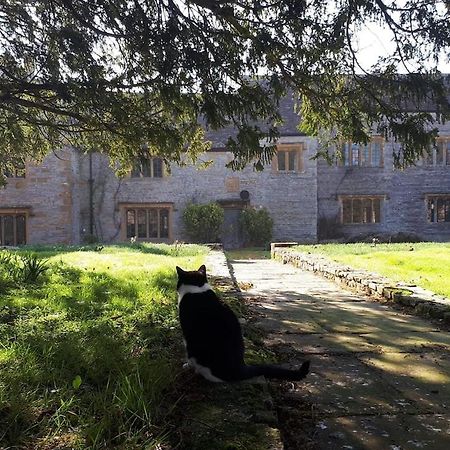The Manor House, Curry Mallet Taunton Zewnętrze zdjęcie