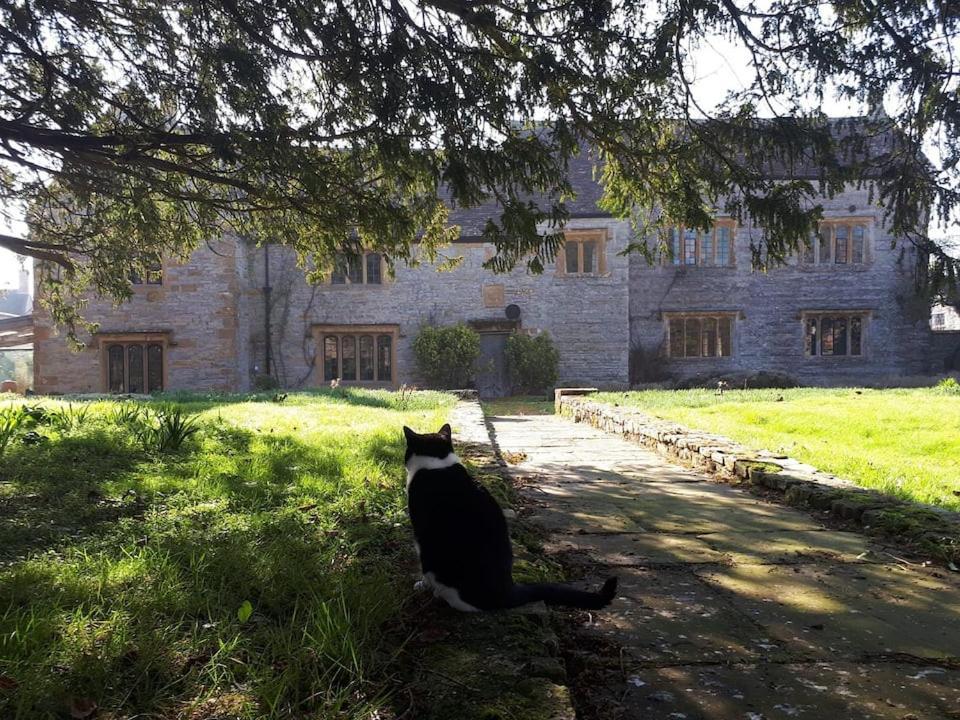 The Manor House, Curry Mallet Taunton Zewnętrze zdjęcie