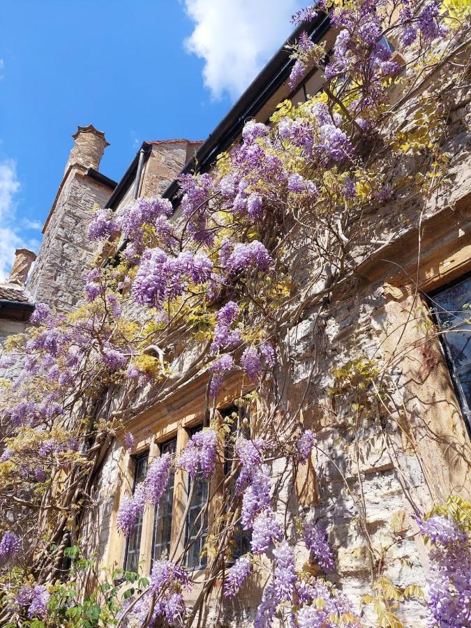 The Manor House, Curry Mallet Taunton Zewnętrze zdjęcie
